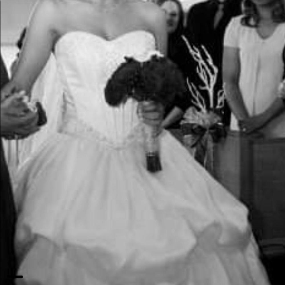 💗💗💗Silk Demetrios Wedding Gown w/ paperwork - Picture 6 of 6